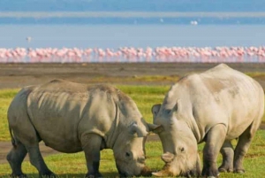 Excursion d'une journée au lac Naivasha et au parc Hells Gate depuis Nairobi
