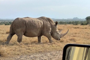 Overnight tour to Mount Kenya and Olpejeta Conservancy