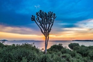 Traslado do aeroporto de Kisumu Premium: Barato e confortável