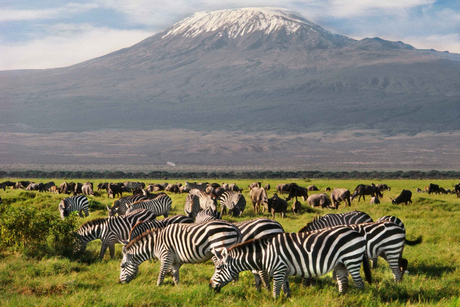 Prywatna wycieczka jednodniowa w Amboseli