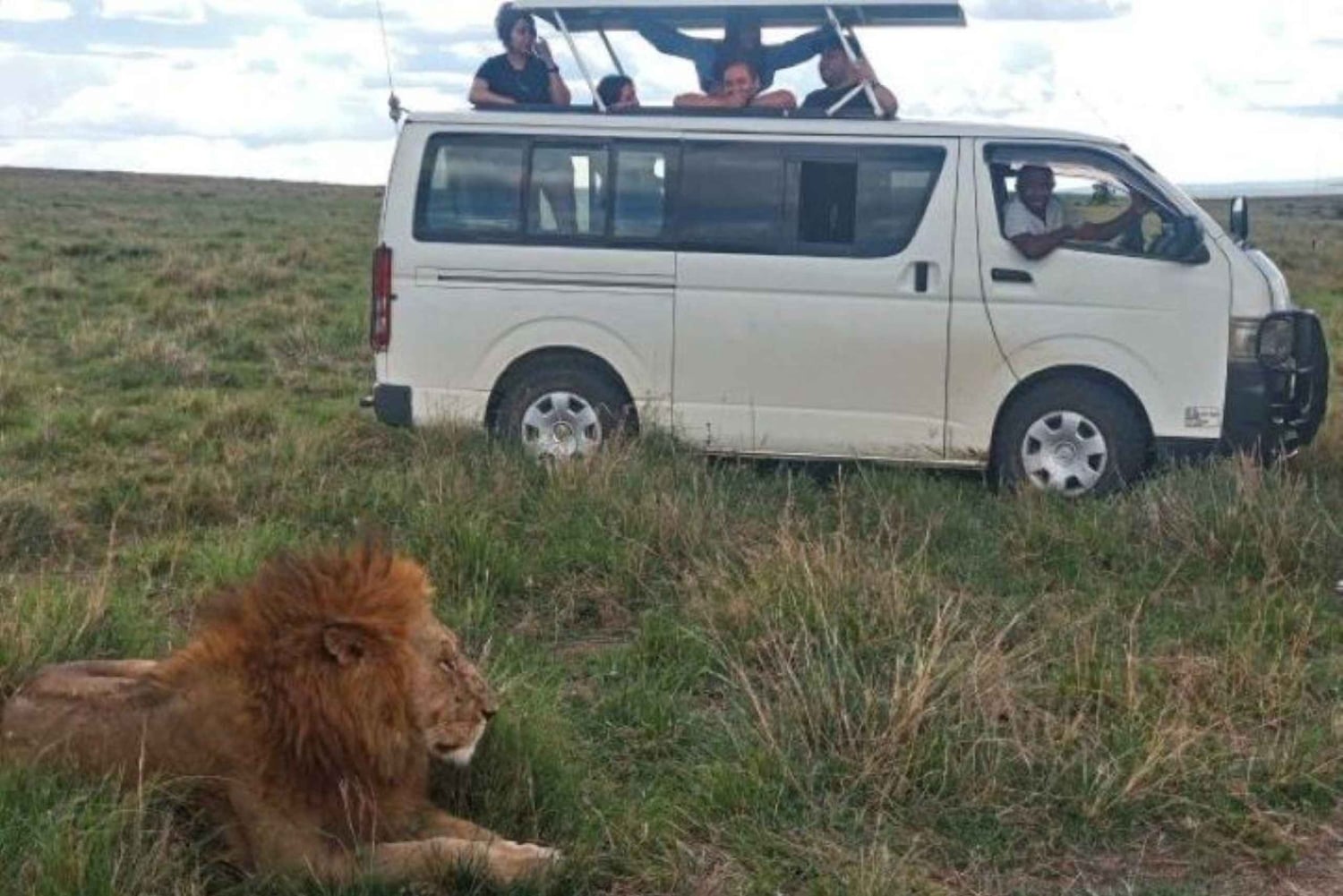 Частная однодневная экскурсия в национальный парк Цаво-Восток