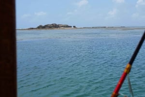 Cruzeiro privativo em Dhow em Lamu (excursão de um dia): Ilha Manda Toto