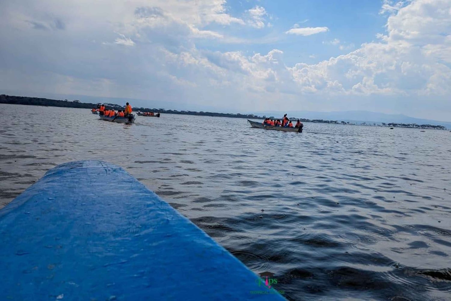 Privat åktur med båt på Naivashasjön, guidad tur på Crescent Island