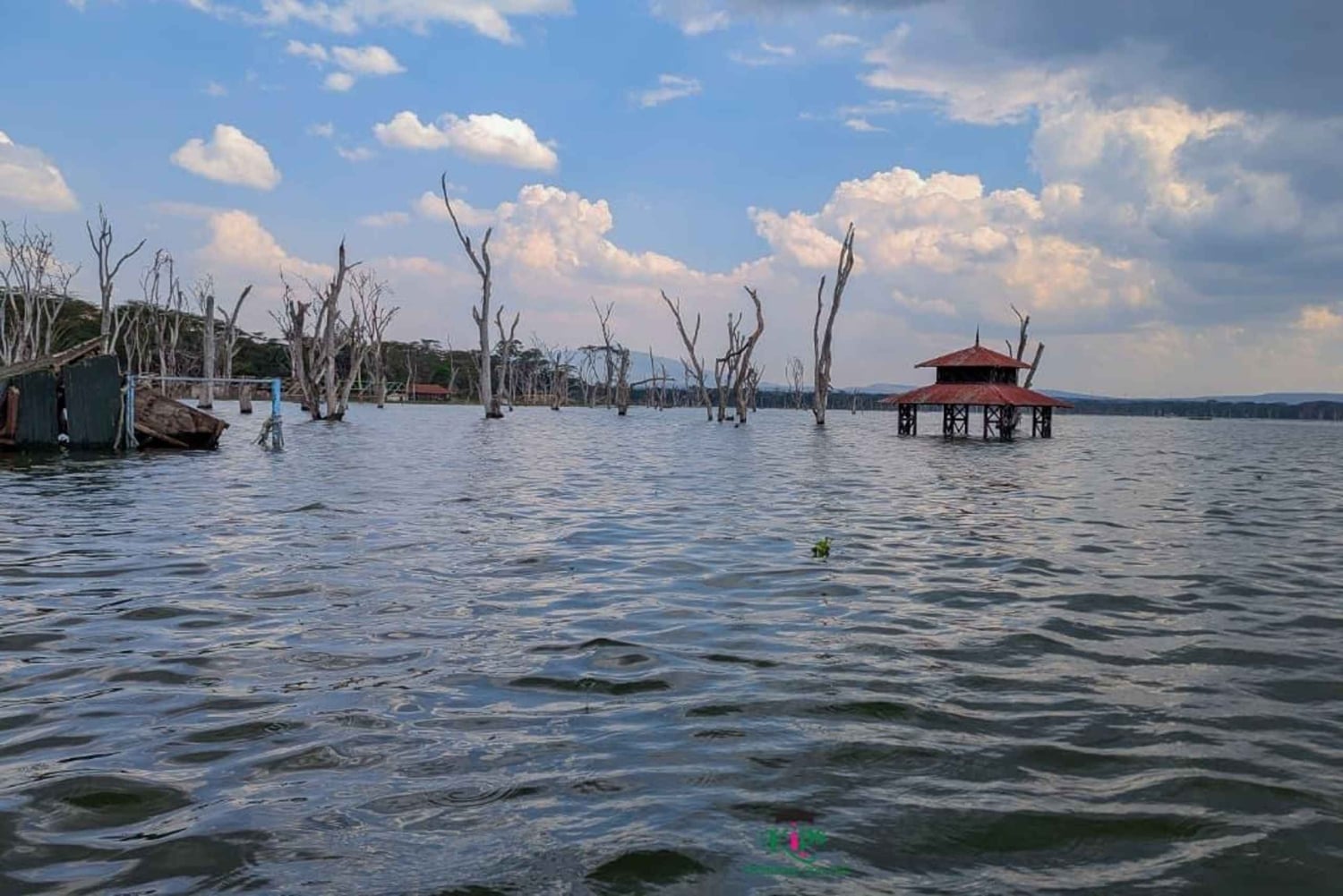 Privat åktur med båt på Naivashasjön, guidad tur på Crescent Island