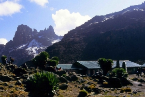 Privat vandringstur till Mount Kenya