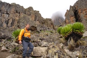 Privat fottur til Mount Kenya