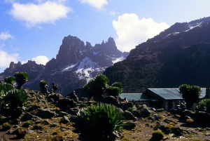 Privat fottur til Mount Kenya