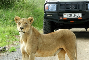 Passeio privado no Parque Nacional de Nairóbi em Landcruiser 4*4