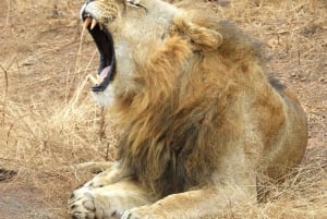 Passeio privado no Parque Nacional de Nairóbi em Landcruiser 4*4