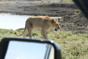 Passeio privado no Parque Nacional de Nairóbi em Landcruiser 4*4