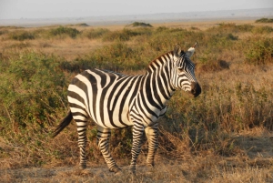 Passeio privado no Parque Nacional de Nairóbi em Landcruiser 4*4