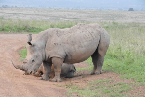 Passeio privado no Parque Nacional de Nairóbi em Landcruiser 4*4