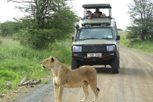 Passeio privado no Parque Nacional de Nairóbi em Landcruiser 4*4