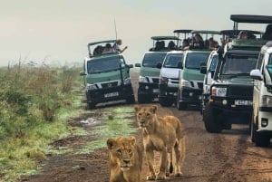 Nairobi: Guidad safari i nationalparken