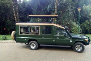 PRIVATE OVERNIGHT TSAVO EAST SAFARI FROM MOMBASA OR DIANI