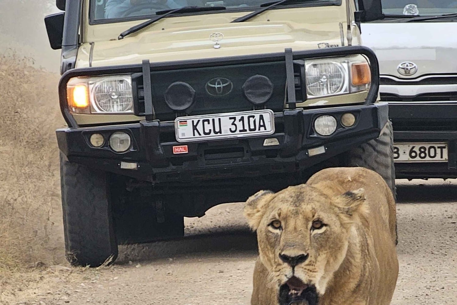 Индивидуальная экскурсия: парк Найроби и приют слонов на внедорожнике
