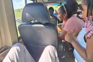 Индивидуальная экскурсия: парк Найроби и приют слонов на внедорожнике