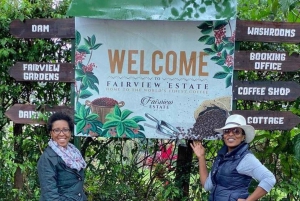 Prywatna wycieczka do Fairview Coffee Farm w Nairobi z odbiorem osobistym
