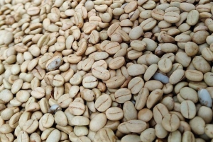 Prywatna wycieczka do Fairview Coffee Farm w Nairobi z odbiorem osobistym