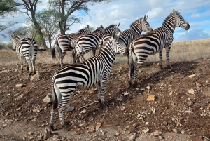 Prywatna wycieczka do Parku Narodowego Nairobi