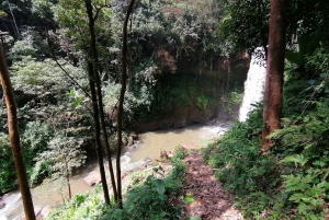 From Nairobi: Purple Tea Farm Half Day Tour