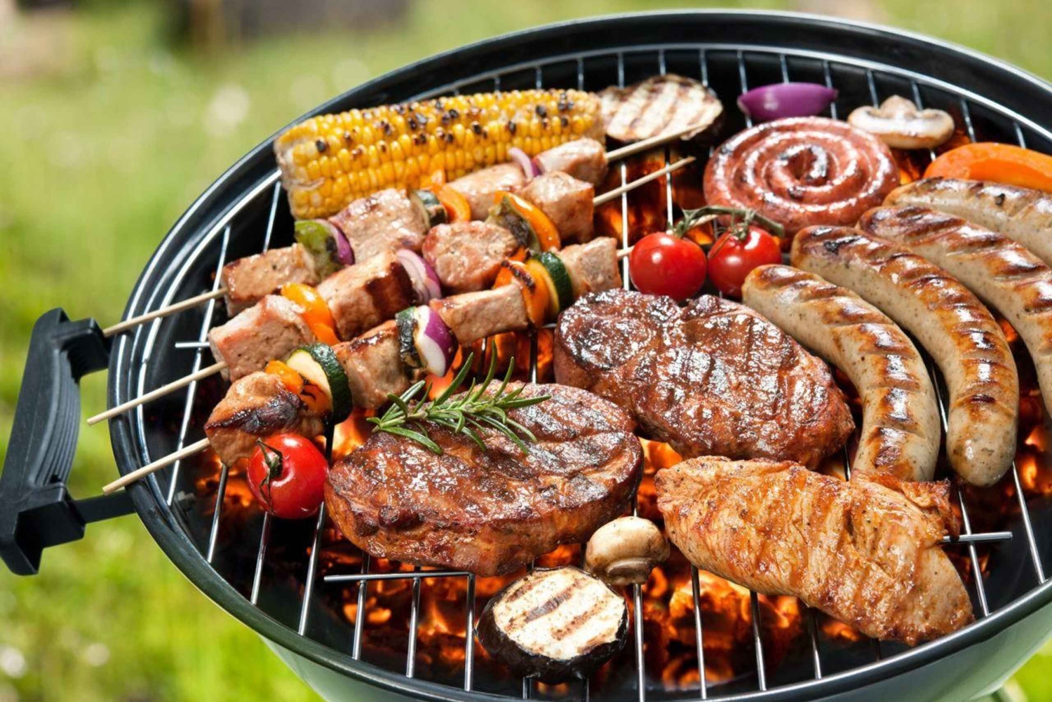 Safari Park Hotel Dinner and Cat Dance Experience