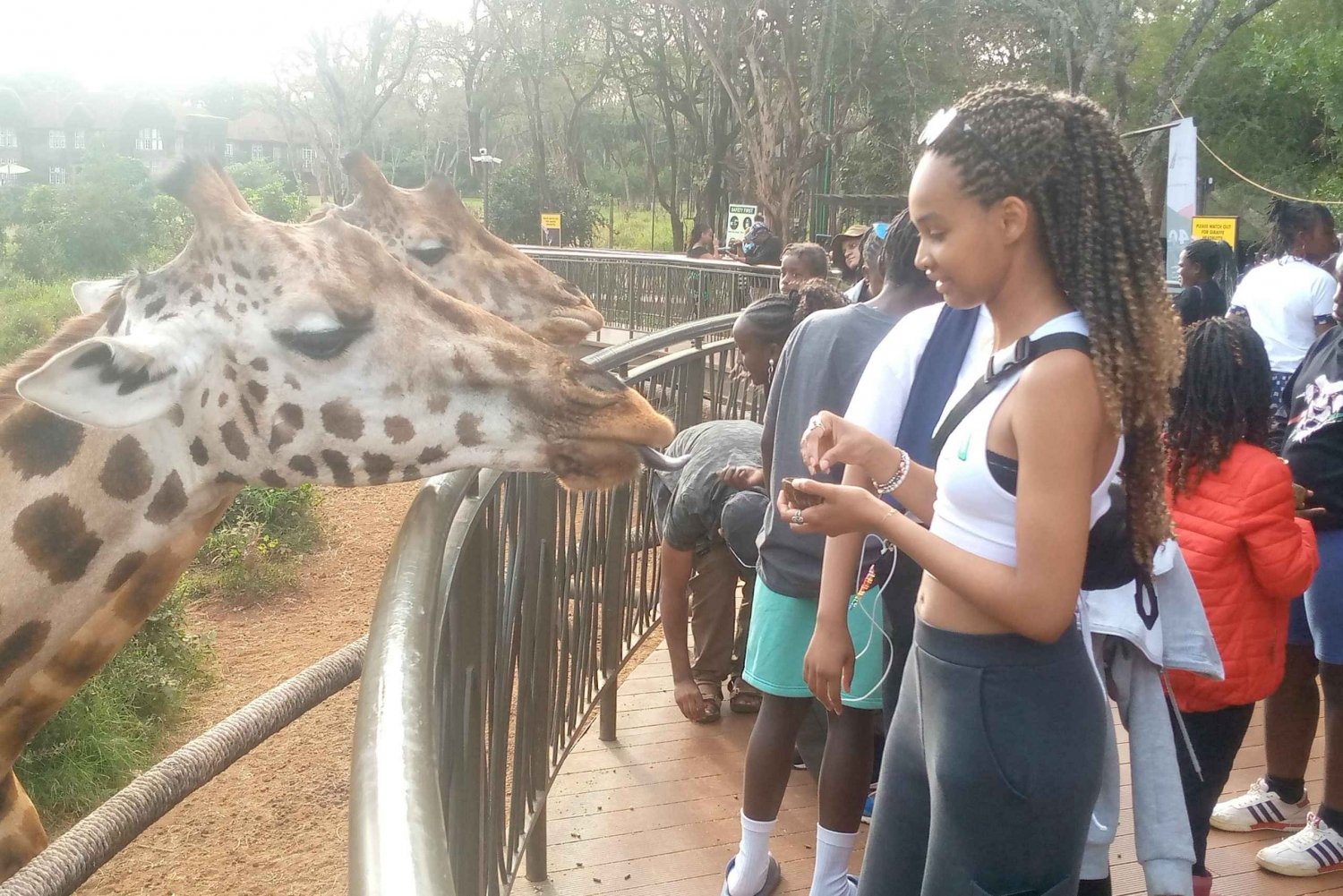 Safari Trip: Nairobi National Park and Giraffe Center