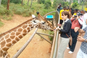 Safari Trip: Nairobi National Park and Giraffe Center