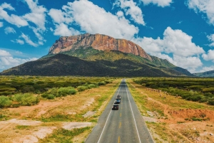 3-dniowe safari w Rezerwacie Narodowym Samburu z Nairobi