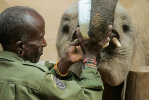 3-dniowe safari w Rezerwacie Narodowym Samburu z Nairobi