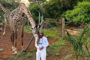 DIANI: SHARE A MEAL WITH GIRAFFES