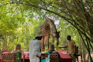 DIANI: SHARE A MEAL WITH GIRAFFES