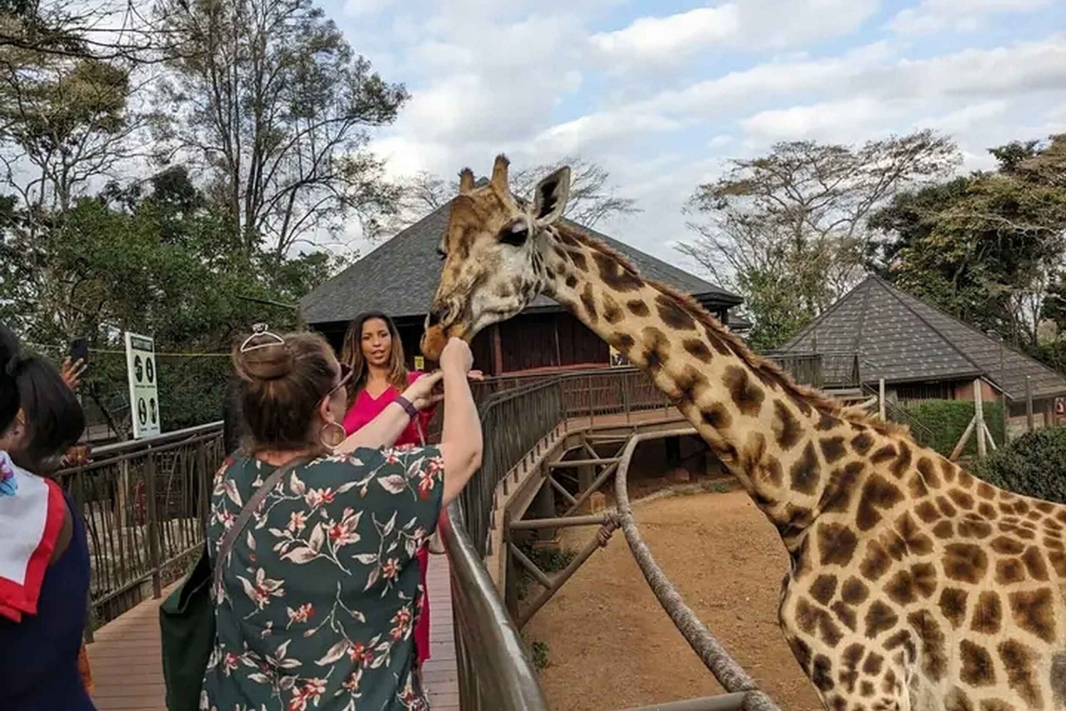 Nairobi:Sheldrick Animal orphanage and Giraffes Centre Tour.
