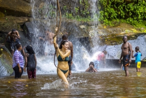 Privat dagssafari i Shimba Hills och vandring i Sheldrick Falls