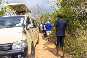 Privat dagssafari i Shimba Hills och vandring i Sheldrick Falls