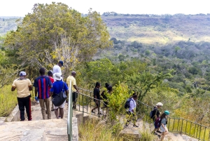 Privat dagssafari i Shimba Hills och vandring i Sheldrick Falls