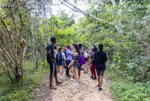 Privat dagssafari i Shimba Hills och vandring i Sheldrick Falls