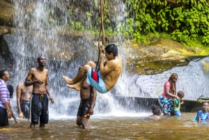 Privat dagssafari i Shimba Hills och vandring i Sheldrick Falls