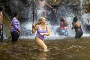 Privat dagssafari i Shimba Hills och vandring i Sheldrick Falls