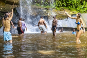 Privat dagssafari i Shimba Hills och vandring i Sheldrick Falls