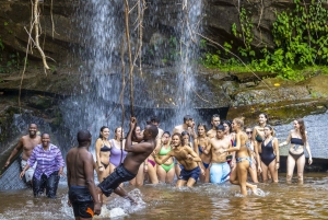 Privat dagssafari i Shimba Hills och vandring i Sheldrick Falls