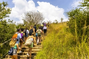 Privat dagssafari i Shimba Hills och vandring i Sheldrick Falls