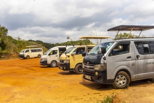 Privat dagssafari i Shimba Hills och vandring i Sheldrick Falls