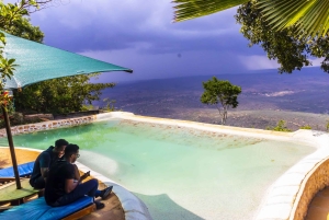 Privat dagssafari i Shimba Hills och vandring i Sheldrick Falls