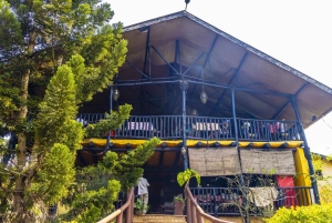 Privat dagssafari i Shimba Hills och vandring i Sheldrick Falls