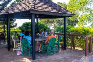 Privat dagssafari i Shimba Hills och vandring i Sheldrick Falls