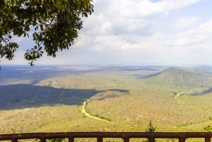 Privat dagssafari i Shimba Hills och vandring i Sheldrick Falls