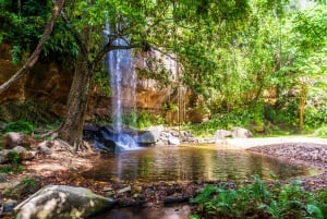 Дневное сафари по холмам Шимба и индивидуальный тур по водопаду Шелдрик