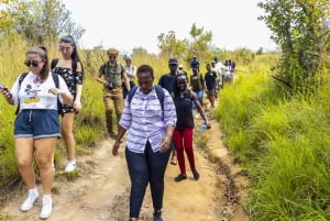 Safari di un giorno sulle colline di Shimba ed escursione alle cascate di Sheldrick Tour privato
