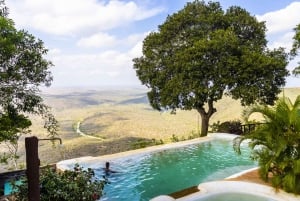 Shimba Hills dagssafari og Sheldrick Falls-fottur - privat tur